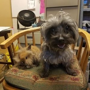 Meet your Posher, Carla